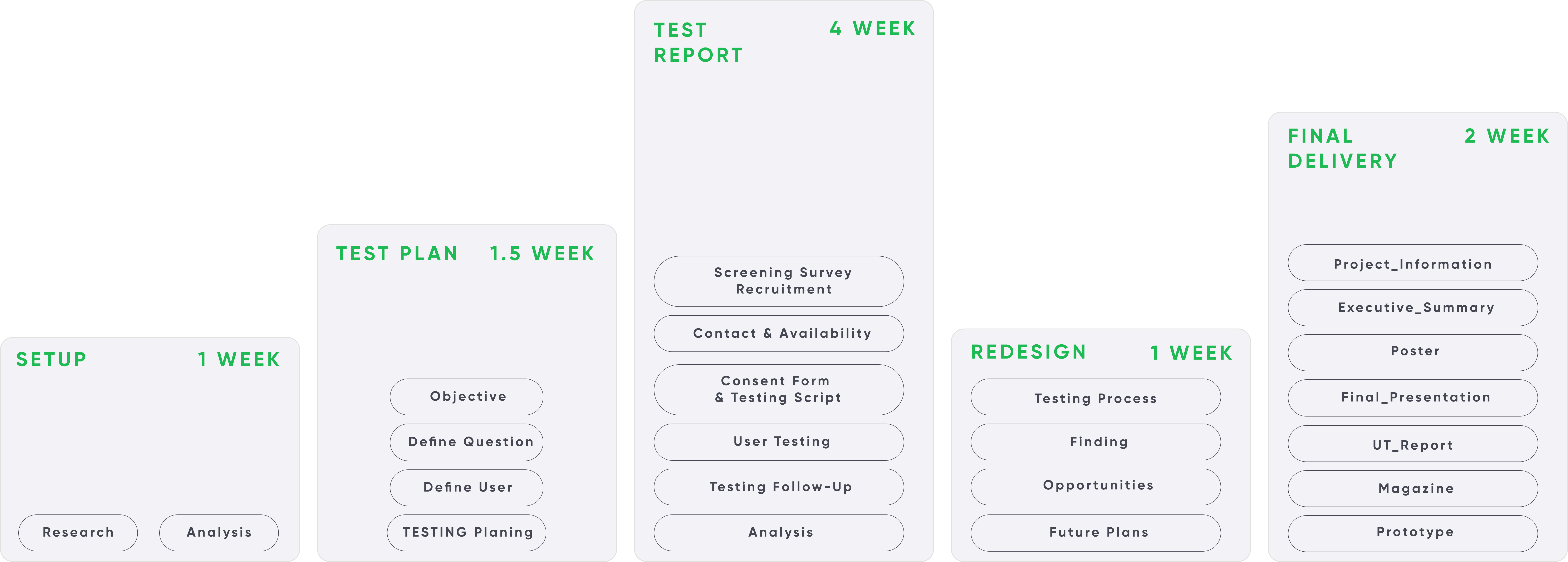 Project timeline across 5 phases: Setup, Test Plan, Test Report, Redesign, and Final Delivery